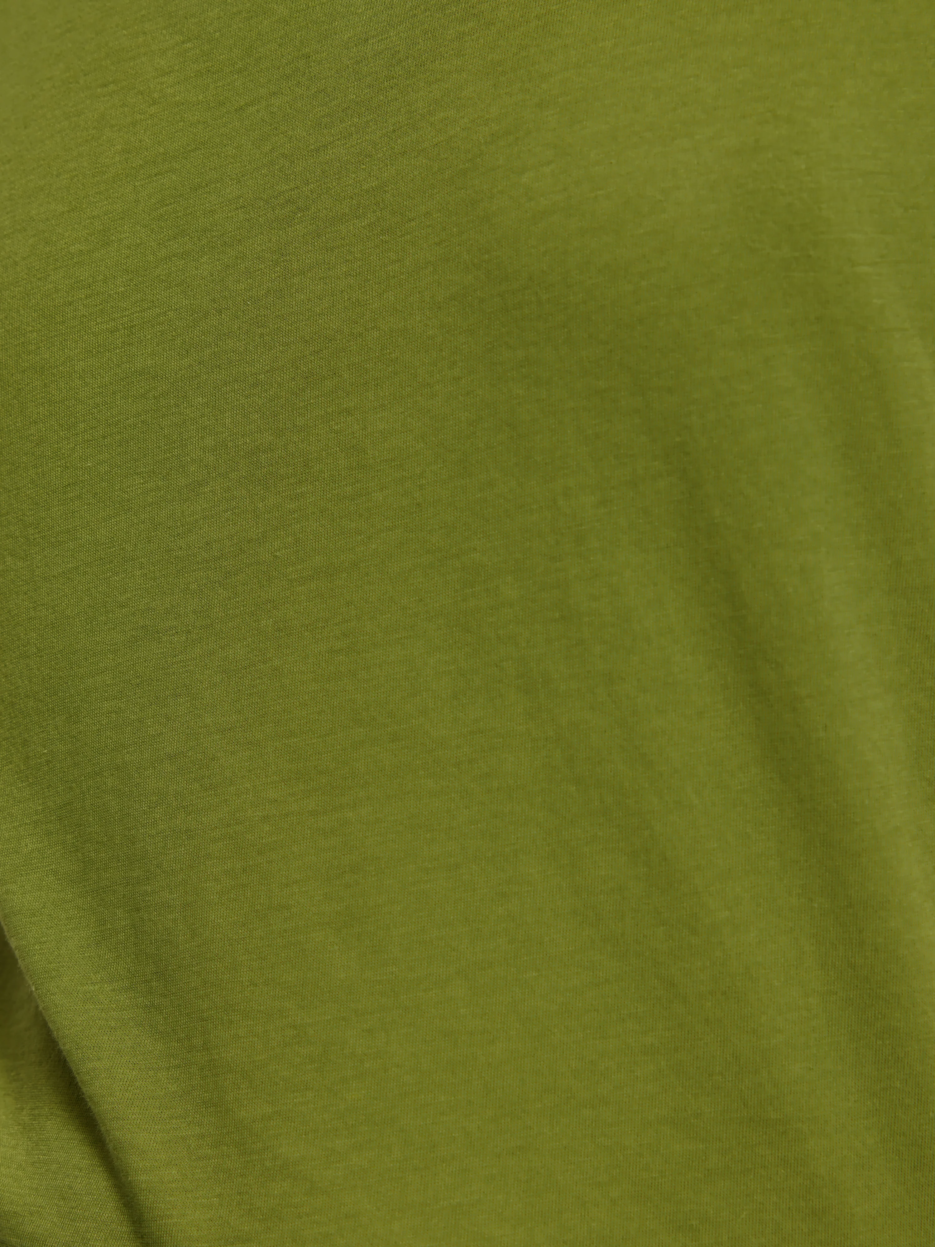 Supima Cotton Scoop Neck Tee | Yucca Green - Image 6