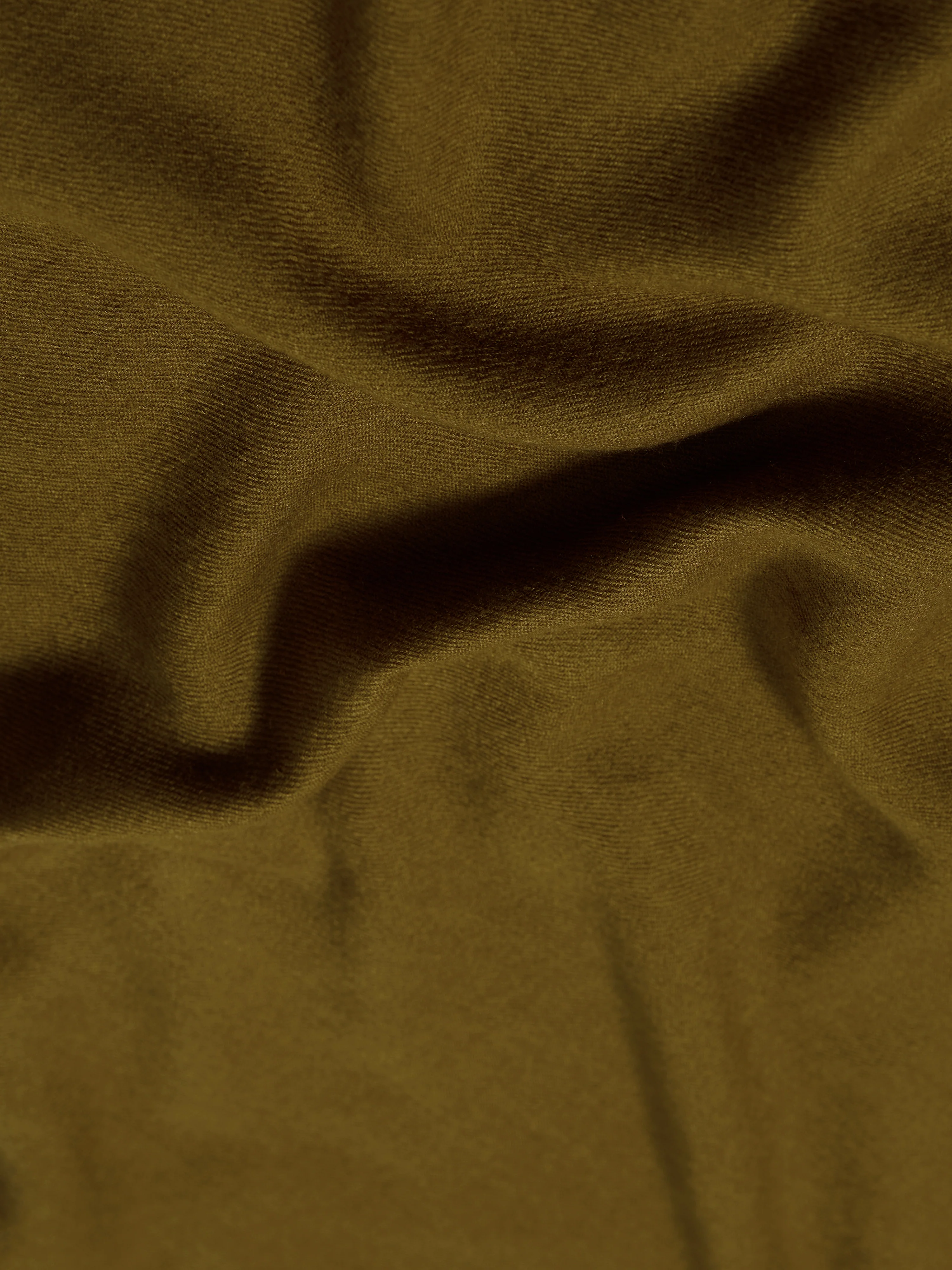 Wool Silk Pashmina | Green - Image 4